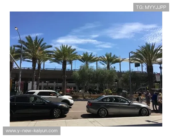 墨西哥举办大型国际冰上运动节，墨西哥 冰雹